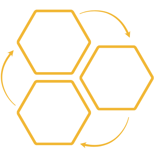 MEALA Database System hexagonal network visualization